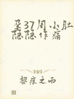 孕37周小肚子隐隐作痛封面