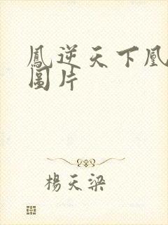 凤逆天下凰北月图片