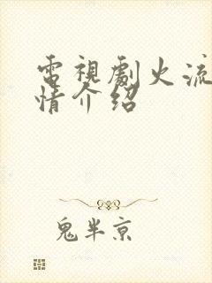 电视剧火流星剧情介绍