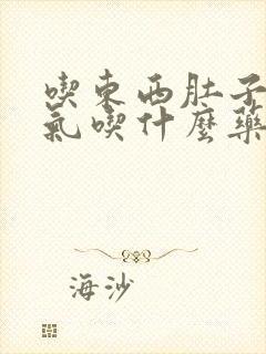 吃东西肚子就胀气吃什么药