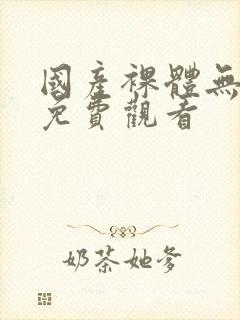 国产裸体无遮挡免费观看