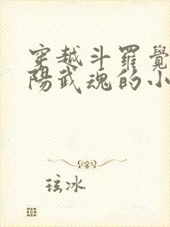 穿越斗罗觉醒太阳武魂的小说