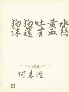 狗狗吐黄水带泡沫还有血丝