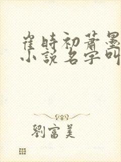 崔时初萧墨染的小说名字叫什么