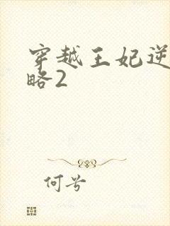 穿越王妃逆袭攻略2