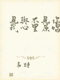 见与不见你都在我心里原唱