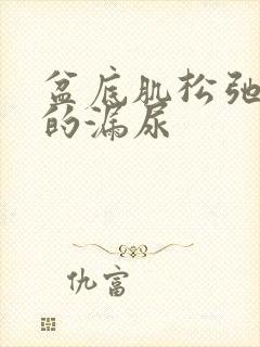 盆底肌松弛引起的漏尿封面