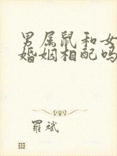 男属鼠和女属虎婚姻相配吗