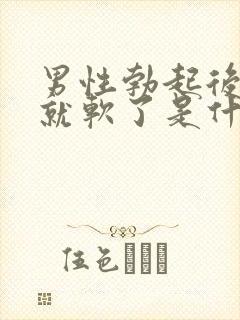 男性勃起后很快就软了是什么原因