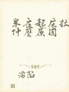 半夜起床拉尿是什么原因