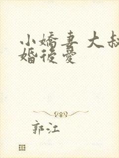小娇妻 大叔先婚后爱封面