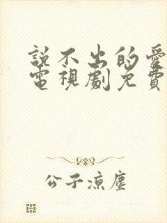 说不出的爱韩剧电视剧免费全集播放封面