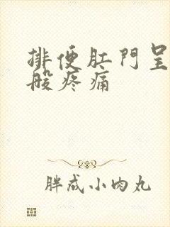 排便肛门呈撕裂般疼痛