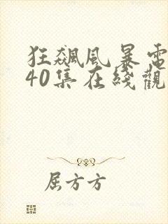 狂飙风暴电视剧40集在线观看免费