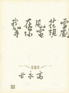 我在风花雪月里等你电视剧
