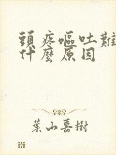 头疼呕吐难受是什么原因