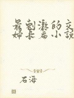 最刺激的交换夫妇长篇小说