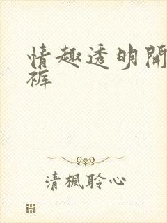 情趣透明开裆内裤