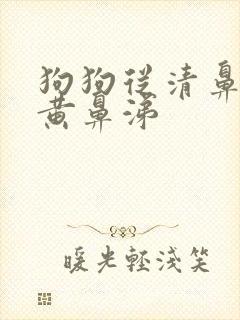 狗狗从清鼻涕到黄鼻涕