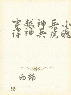 穿越神兵小将获得神兵虎魄