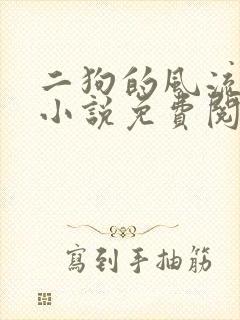 二狗的风流人生小说免费阅读封面