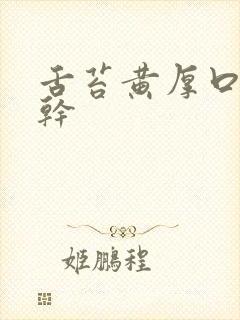 舌苔黄厚口苦口干