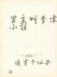 男主叫李伟杰的小说