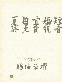 夏日宜婚短剧全集免费观看高清