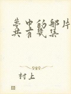 梦中的那片海一共有几集