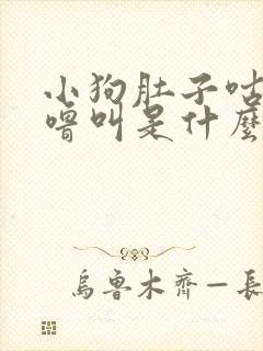 小狗肚子咕噜咕噜叫是什么原因