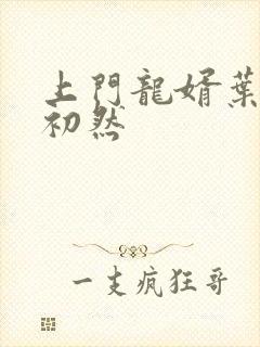 上门龙婿叶晨萧初然