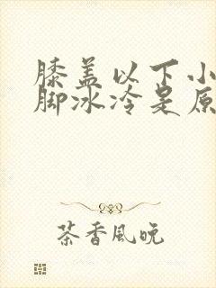 膝盖以下小腿到脚冰冷是原因