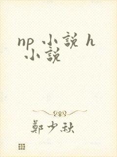 np 小说 h 小说