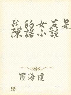 我的女友是校花陈诺小说