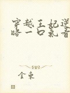 穿越王妃逆袭攻略一口气看完