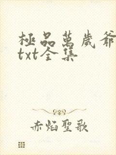 极品万岁爷下载txt全集