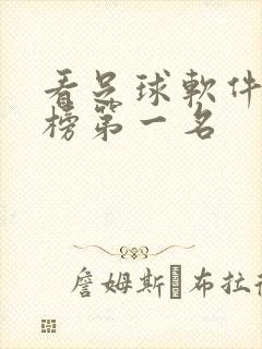 看足球软件排行榜第一名