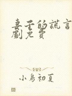 妻子的谎言电视剧免费封面