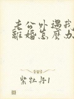 老公外遇我不想离婚怎么办