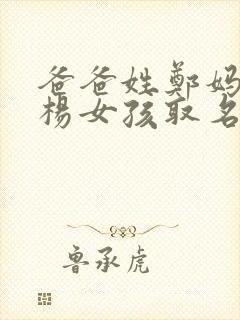 爸爸姓郑妈妈姓杨女孩取名封面