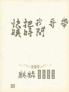 快把我哥带走上映时间