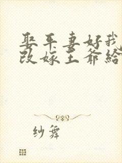 娶平妻好我休夫改嫁王爷给你看