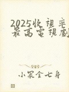 2025收视率最高电视剧封面