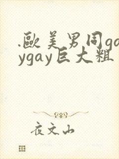 .欧美男同gaygay巨大粗