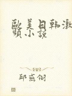 欧美日韩激情视频小说封面