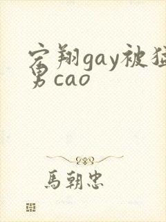 宏翔gay被猛男cao封面