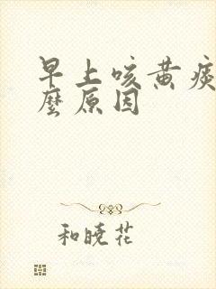 早上咳黄痰是什么原因