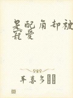 是配角却被王子宠爱封面