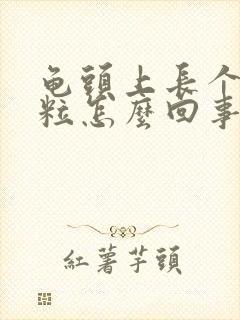 龟头上长个小颗粒怎么回事