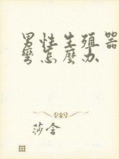 男性生殖器有点弯怎么办